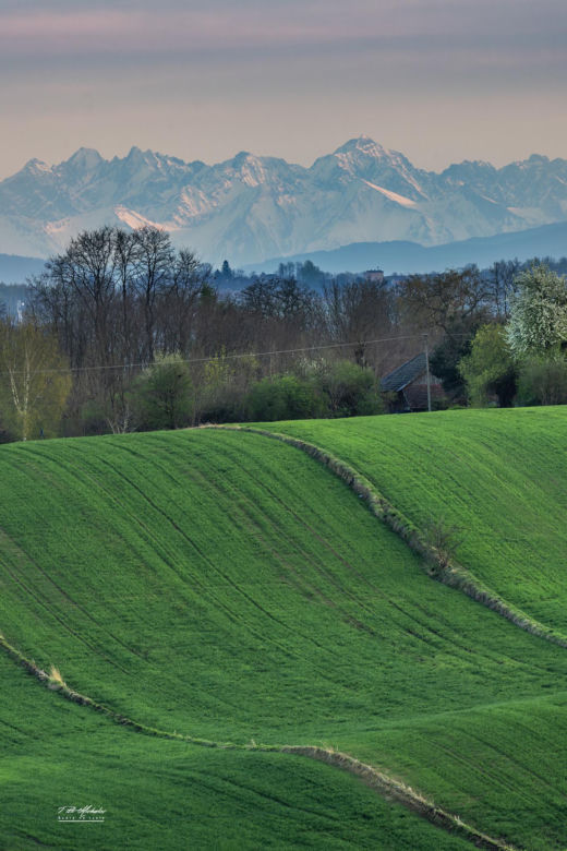 Ponidzie. Widok na Tatry