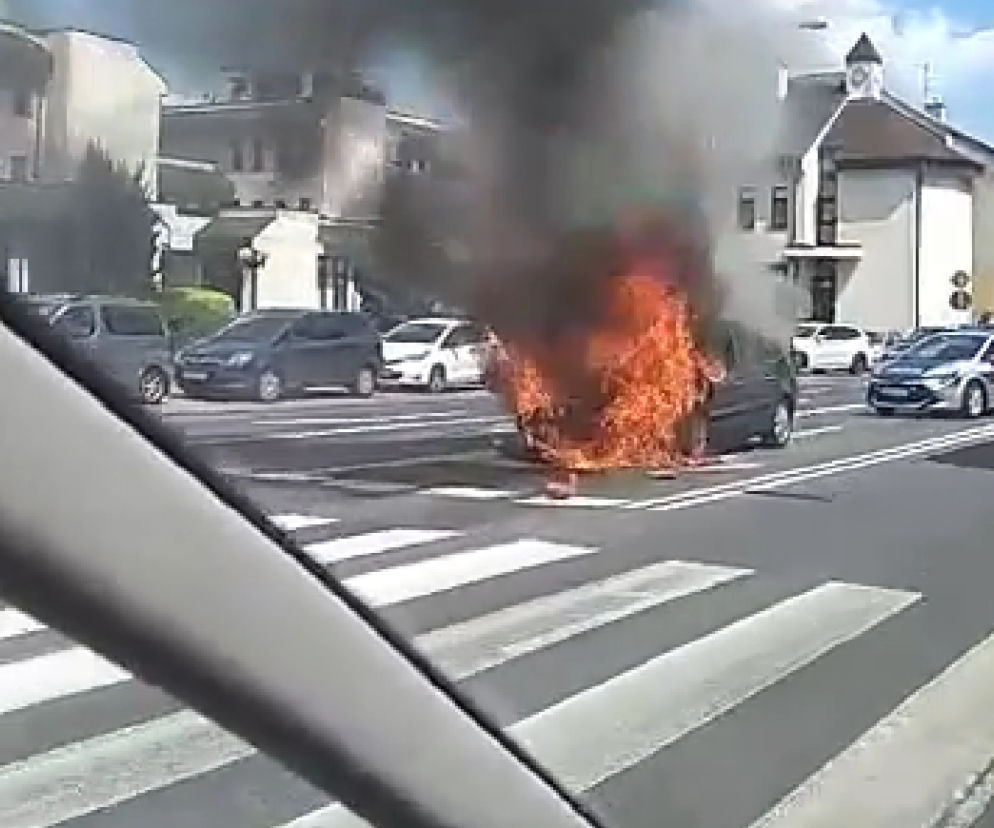Rzeszów: Spłonął samochód! Renault stanął w płomieniach obok ZUS-u [WIDEO INTERNAUTY]