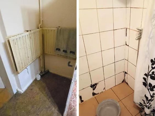 Lawina pomocy dla braci Bartka i Kacpra z Szurkowa. Na remont domu nastoletnich sierot