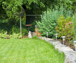 Czy można ściąć gałęzie drzew sąsiada?