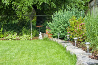 Czy można ściąć gałęzie drzew sąsiada?