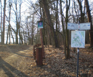 Co robić z dzieckiem w ferie w Warszawie? TOP 10 pomysłów