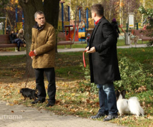 BARWY SZCZĘŚCIA