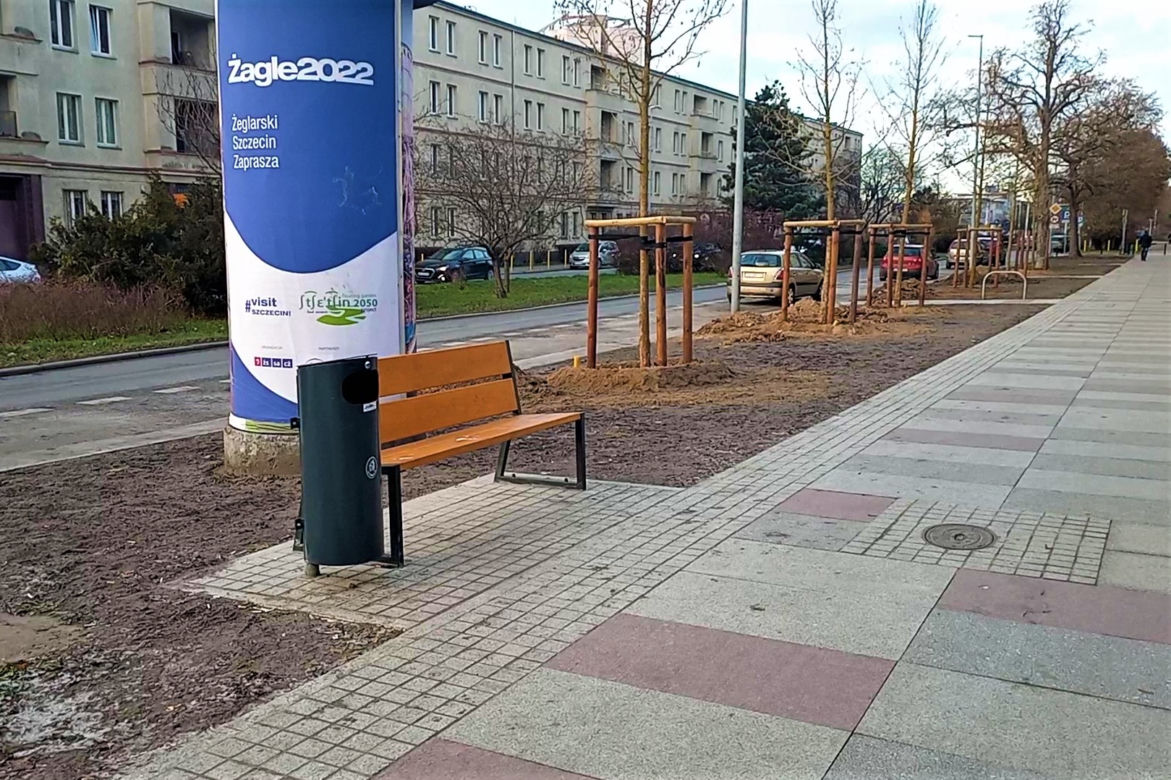 Drzewa powróciły na aleję Bohaterów Warszawy