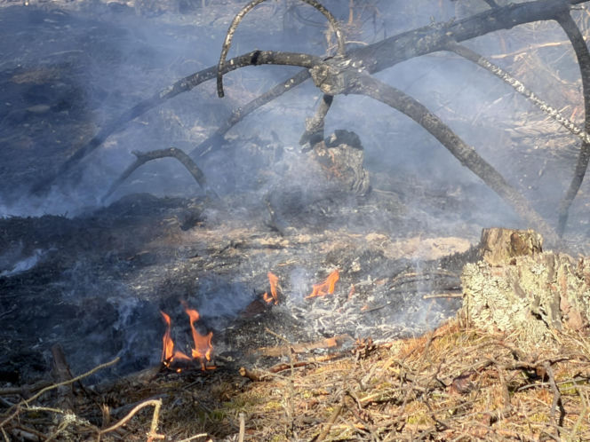 Samoloty Dromader wspierają wielką akcję gaśniczą w powiecie wołomińskim