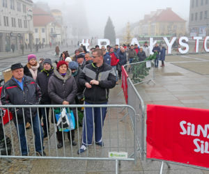 Żywe choinki za sztuczne