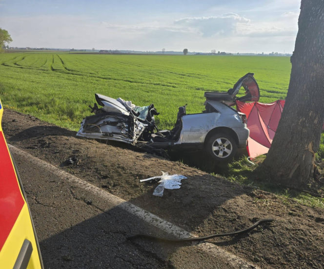 Dwie osoby zginęły w roztrzaskanym Audi. Potworny widok na miejscu