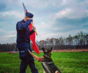 Nowy pies-policjant w Tarnowskich Górach. Ale słodziak! Kubica jest nim zachwycony