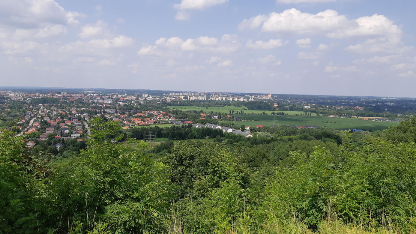 Ruiny średniowiecznego zamku w Tarnowie, na którym w 1528 roku rezydował król Węgier Jan Zápolya 