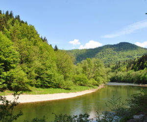 To najlepsze miejsce na majowy weekend w woj. małopolskim według AI. Wygląda jak z pocztówki!