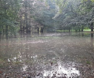 Wrocław: NIEBEZPIECZNIE w Parku Wschodnim! Oława wystąpiła z brzegów! WIELKIE rozlewisko! 