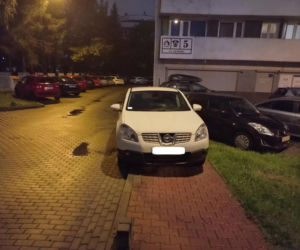 Miszczowie parkowania w Katowicach. Ich nikt tego nie nauczył