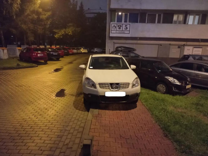 Miszczowie parkowania w Katowicach. Ich nikt tego nie nauczył