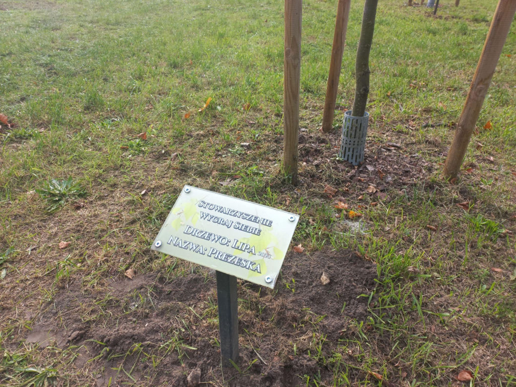 W młodym parku w Lesznie posadzono kolejne drzewa. Każde ma swoją tabliczkę