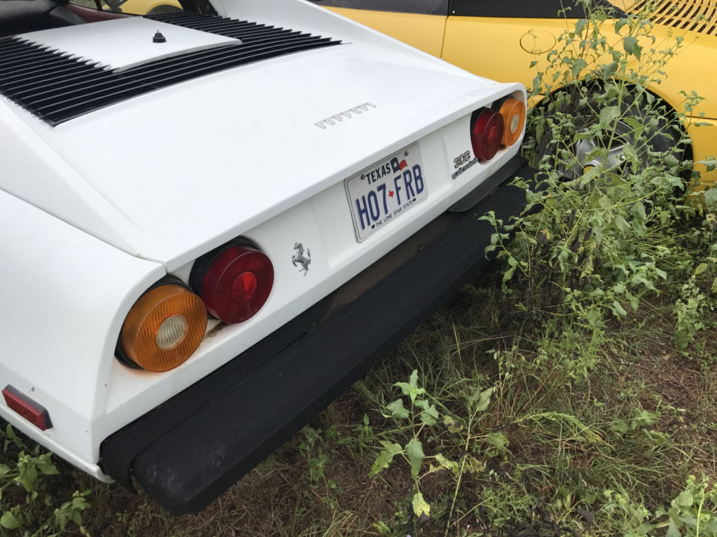 11 klasycznych Ferrari porzuconych w polu