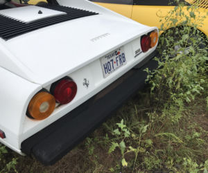 11 klasycznych Ferrari porzuconych w polu