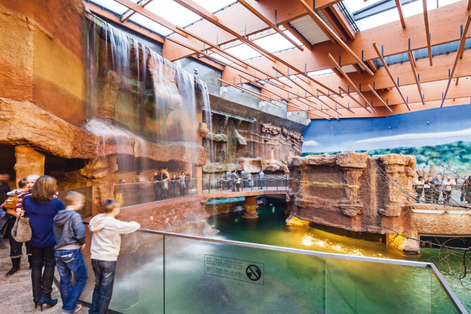 Afrykarium we Wrocławiu 
