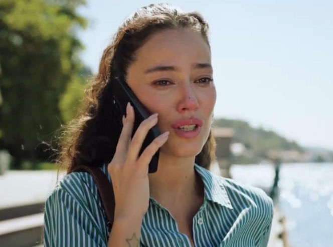 Złoty chłopak, odcinek 257