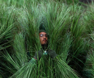 Super Bowl 2026 i Halftime Show