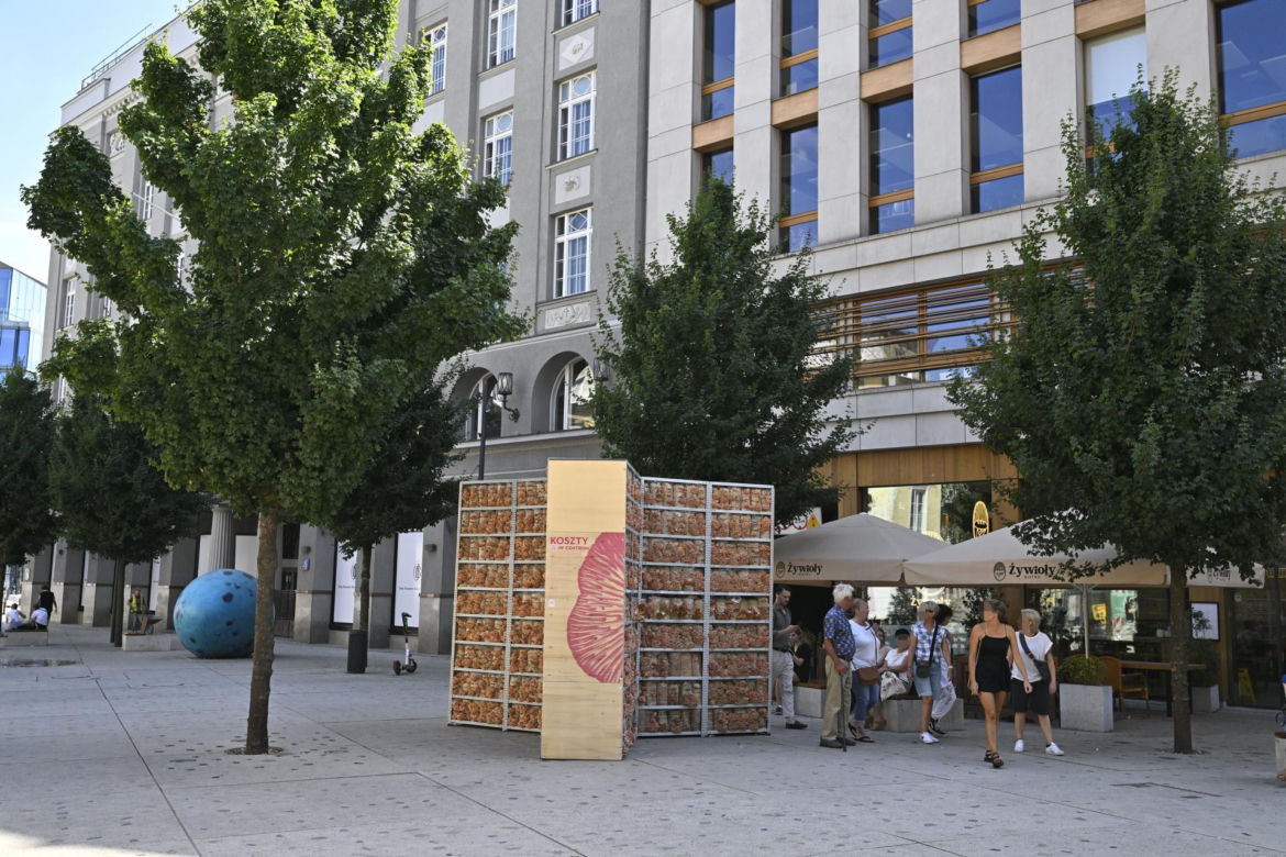 Różowe grzyby na placu Pięciu Rogów w Warszawie. Intrygujące rusztowanie, przechodnie w szoku