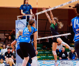 Miss VOlley - Arka Susz Volley