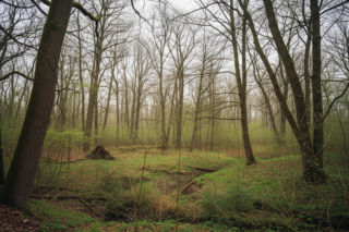 Park Repecki rezerwatem. Co oznaczają zmiany dla mieszkańców?