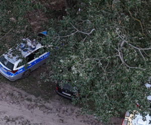 Wyłowiono ciało z Wisły w Warszawie