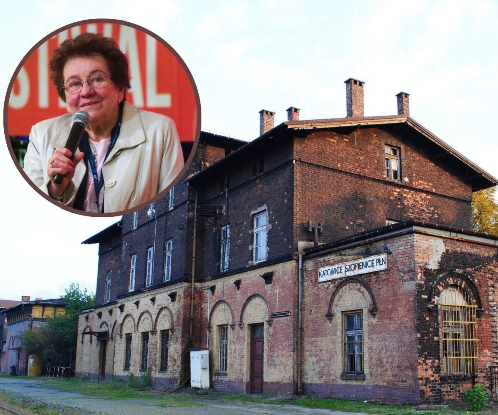 Dziedzictwo przemysłu wciąż szkodzi? Śląsk bada skutki ołowicy