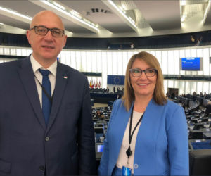 Poradnik dla świerzaków. Nowi w Europarlamencie