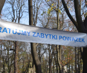 Znani kwestują na Powązkach
