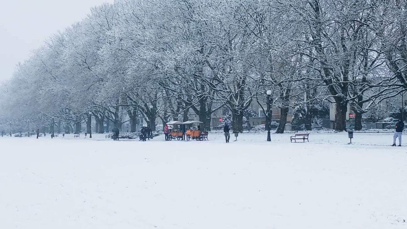 Pierwszy śnieg w Szczecinie