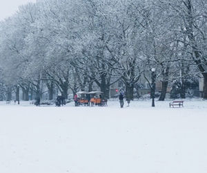 Pierwszy śnieg w Szczecinie