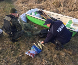 Policjanci wypowiedzieli wojnę kłusownikom! Zatrzymali dwóch mężczyzn