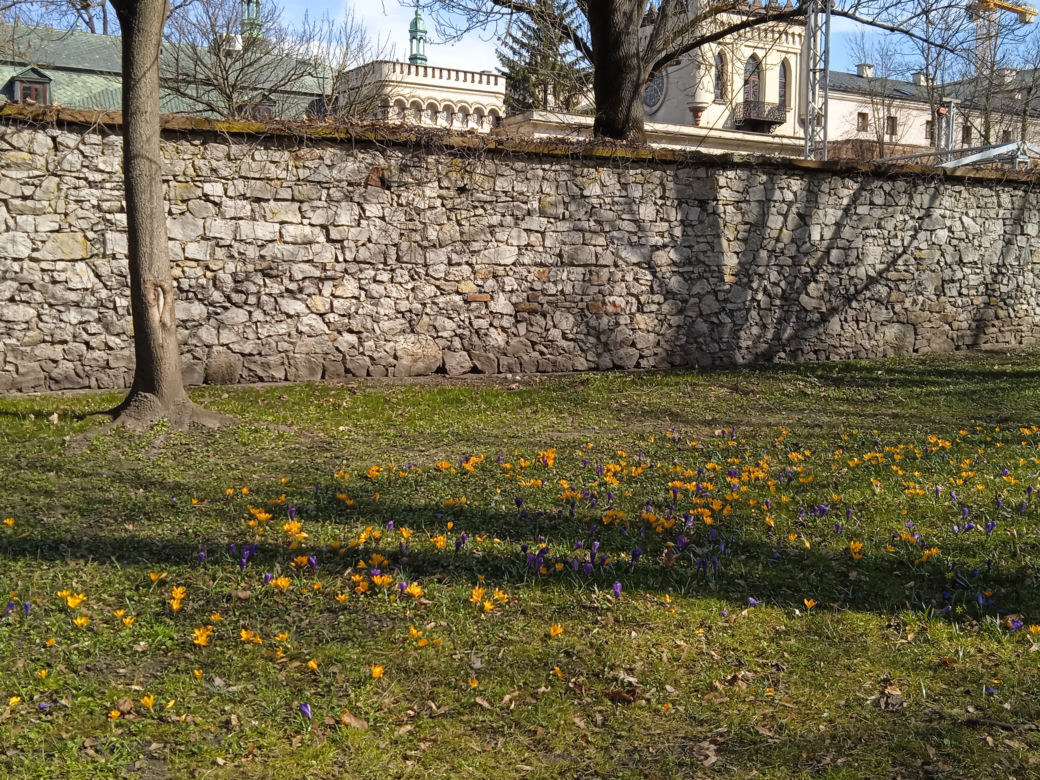 Wiosna w Kielcach. Coraz więcej zieleni i spacerowiczów w parku miejskim