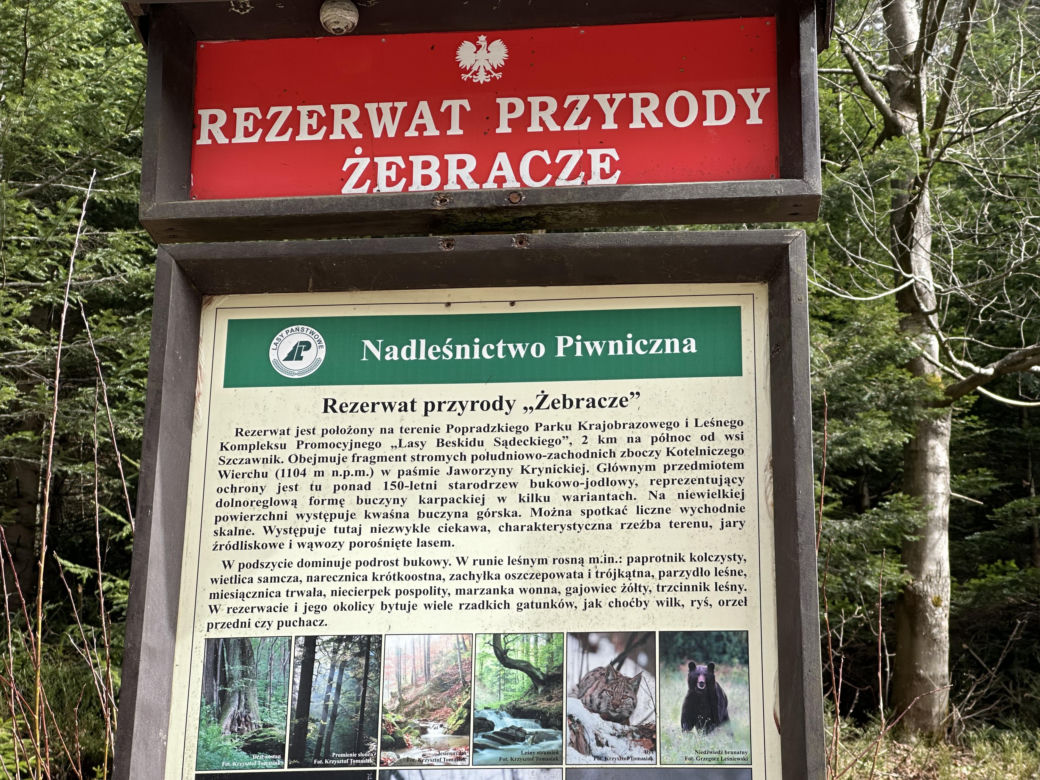 Ukryty szlak turystyczny pełen atrakcji. Nie każdy zna to miejsce w Małopolsce [GALERIA]