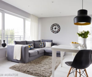 Minimalistyczny salon z jadalnią