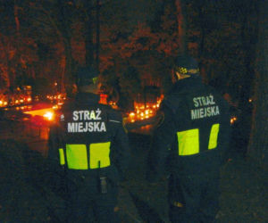 Straż Miejska podsumowuje akcje Hiena i Znicz