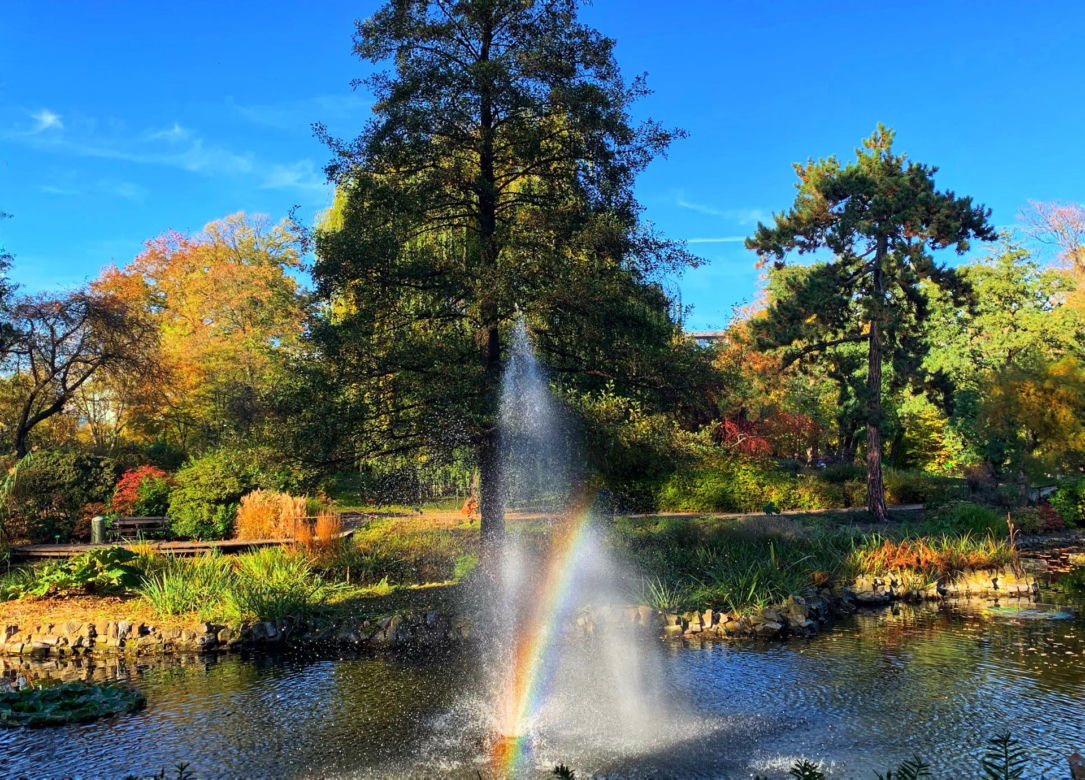 Jesień w ogrodzie botanicznym we Wrocławiu