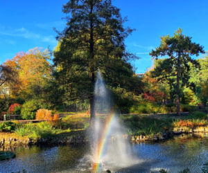 Jesień w ogrodzie botanicznym we Wrocławiu