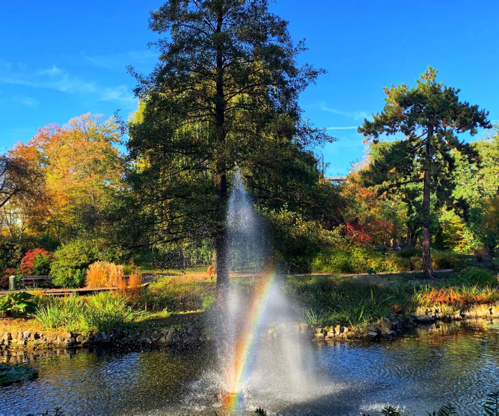 Jesień w ogrodzie botanicznym we Wrocławiu