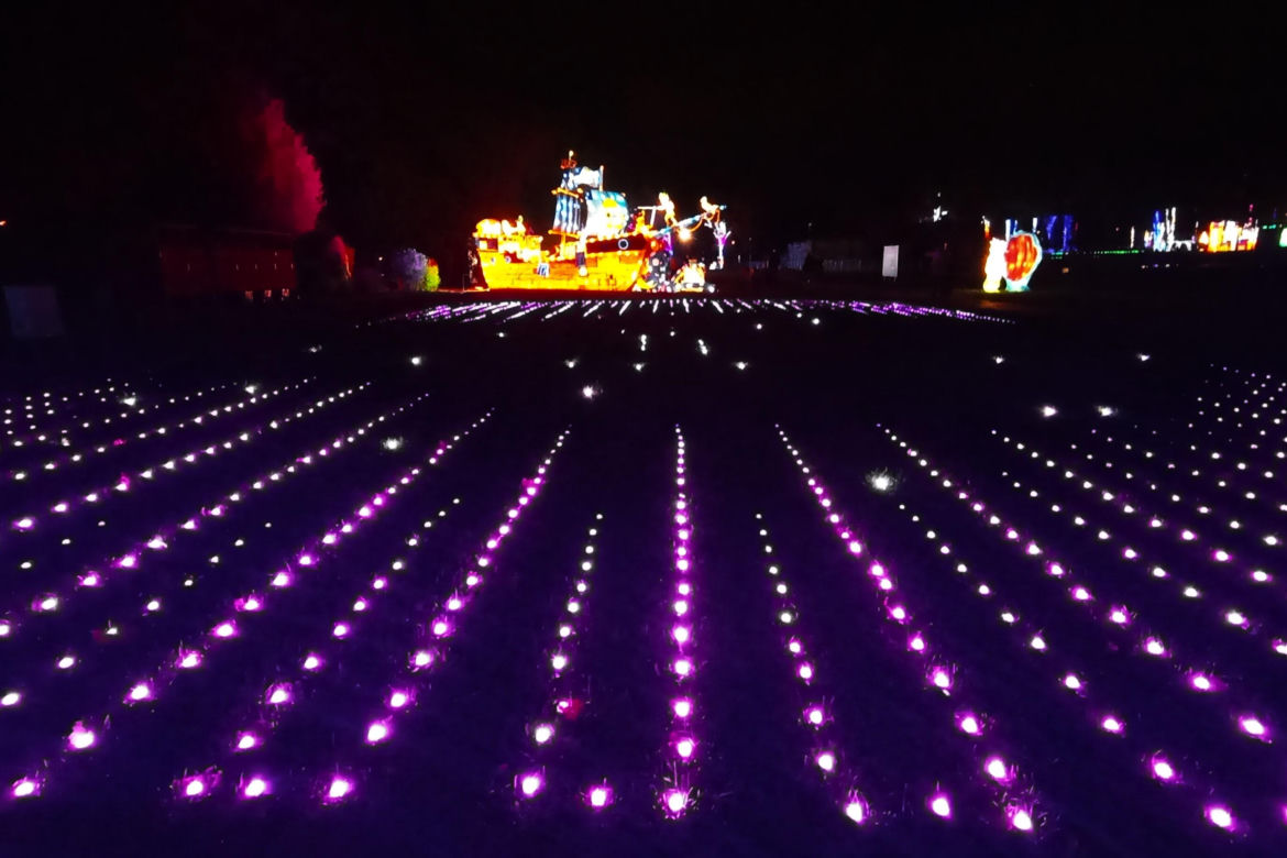Garden of Lights w Szczecinie