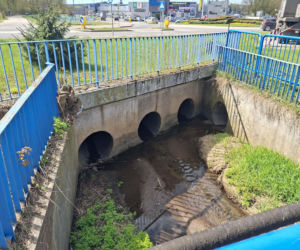 Nieznana substancja w rzece Kamiennej