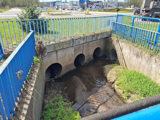 Nieznana substancja w rzece Kamiennej