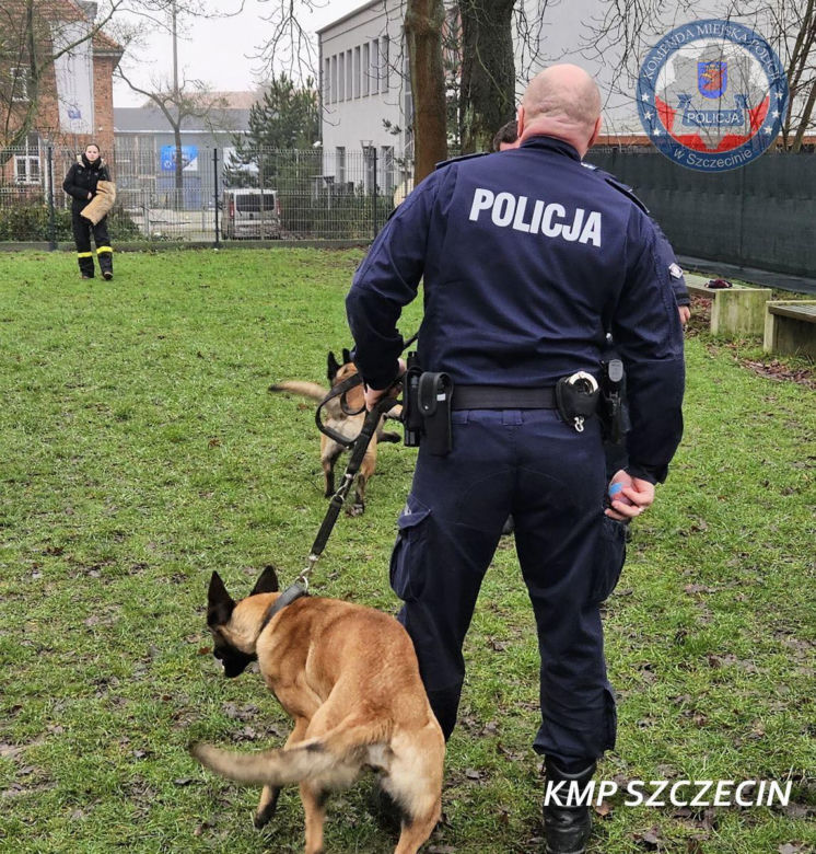 Nowe psy w zachodniopomorskiej policji