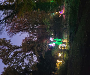 Otwarcie parku iluminacji w Poznaniu