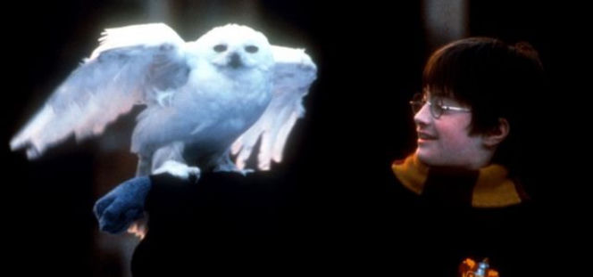 Harry Potter – powstał nowy rozdział i jest wyjątkowy! 