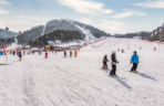 12 ośrodków narciarskich na ekscytującą zimę w Korei Południowej