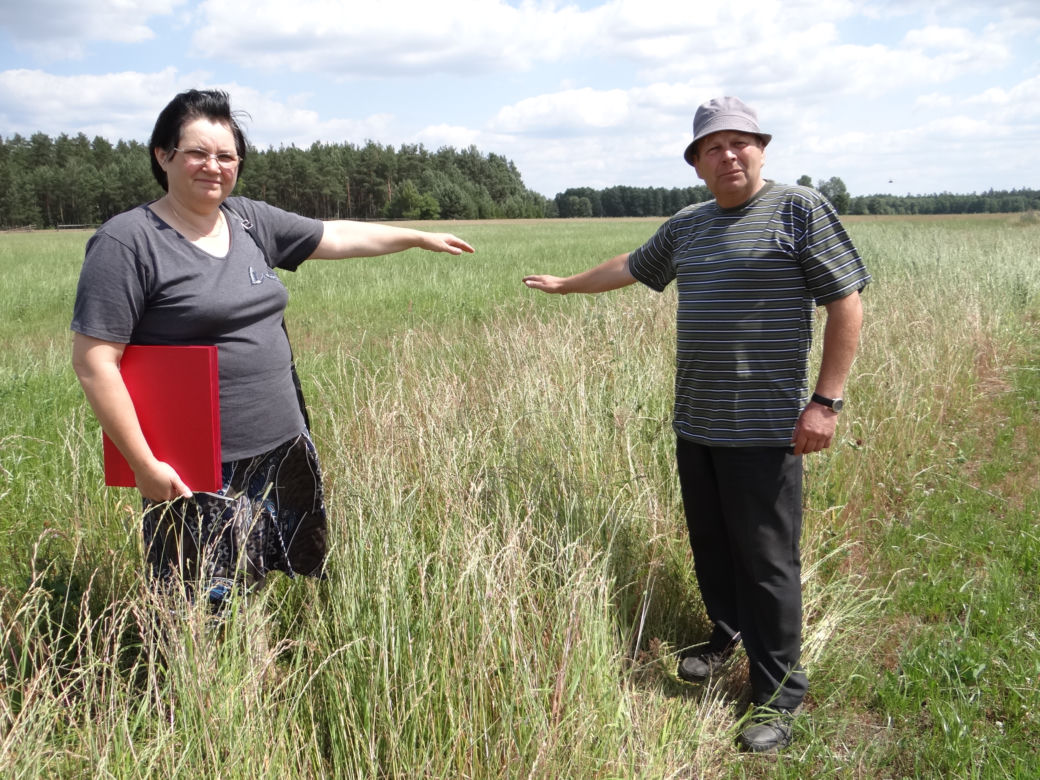 370 tys. złotych kary za wycięcie krzaków