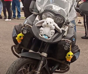 Moto Zające i Kurczaki niosą pomoc na Wielkanoc. Dziesiątki motocyklistów na ulicach Szczecina