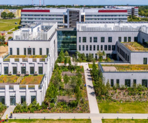 Kampus SGGW w Warszawie